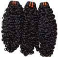 Burmese Curly