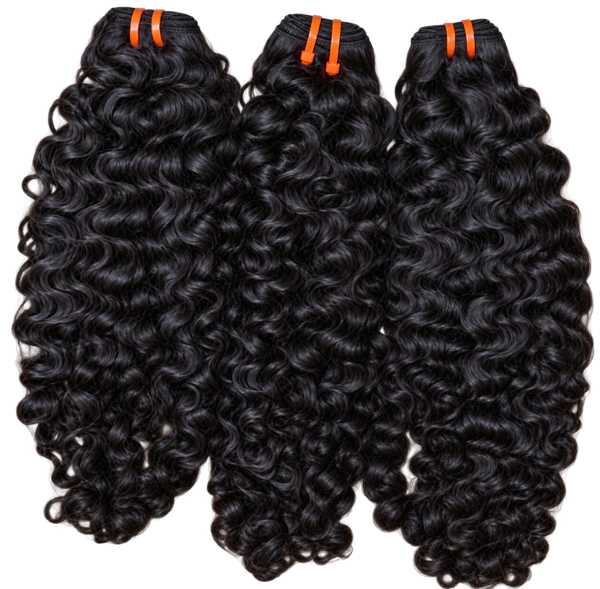 Burmese Curly